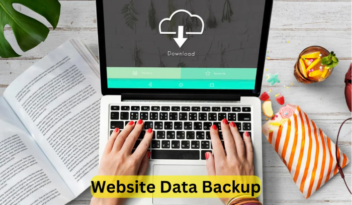 website-data-backup