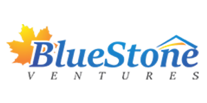 Blue Stone Ventures