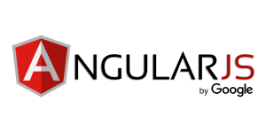 Angular js SEO Packages