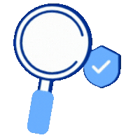 Monitoring and re-audit