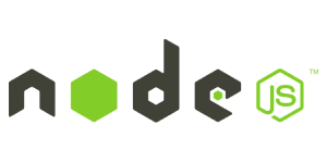 Node js  Local SEO Packages