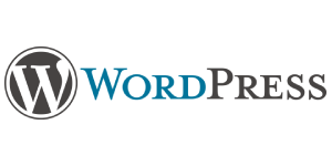 Wordpress  eCommerce SEO