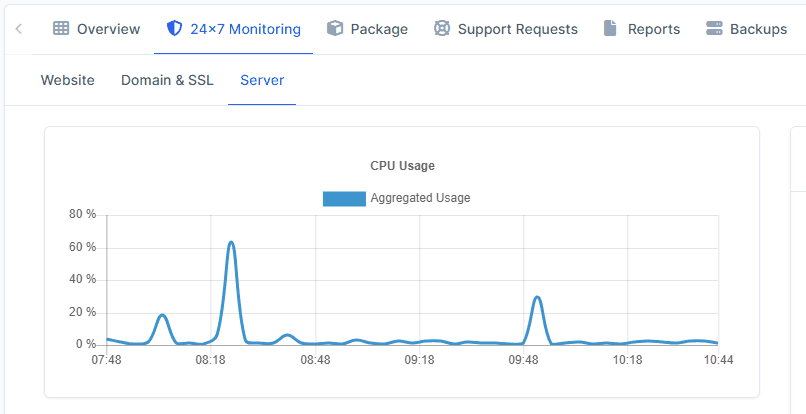 Server Monitoring
