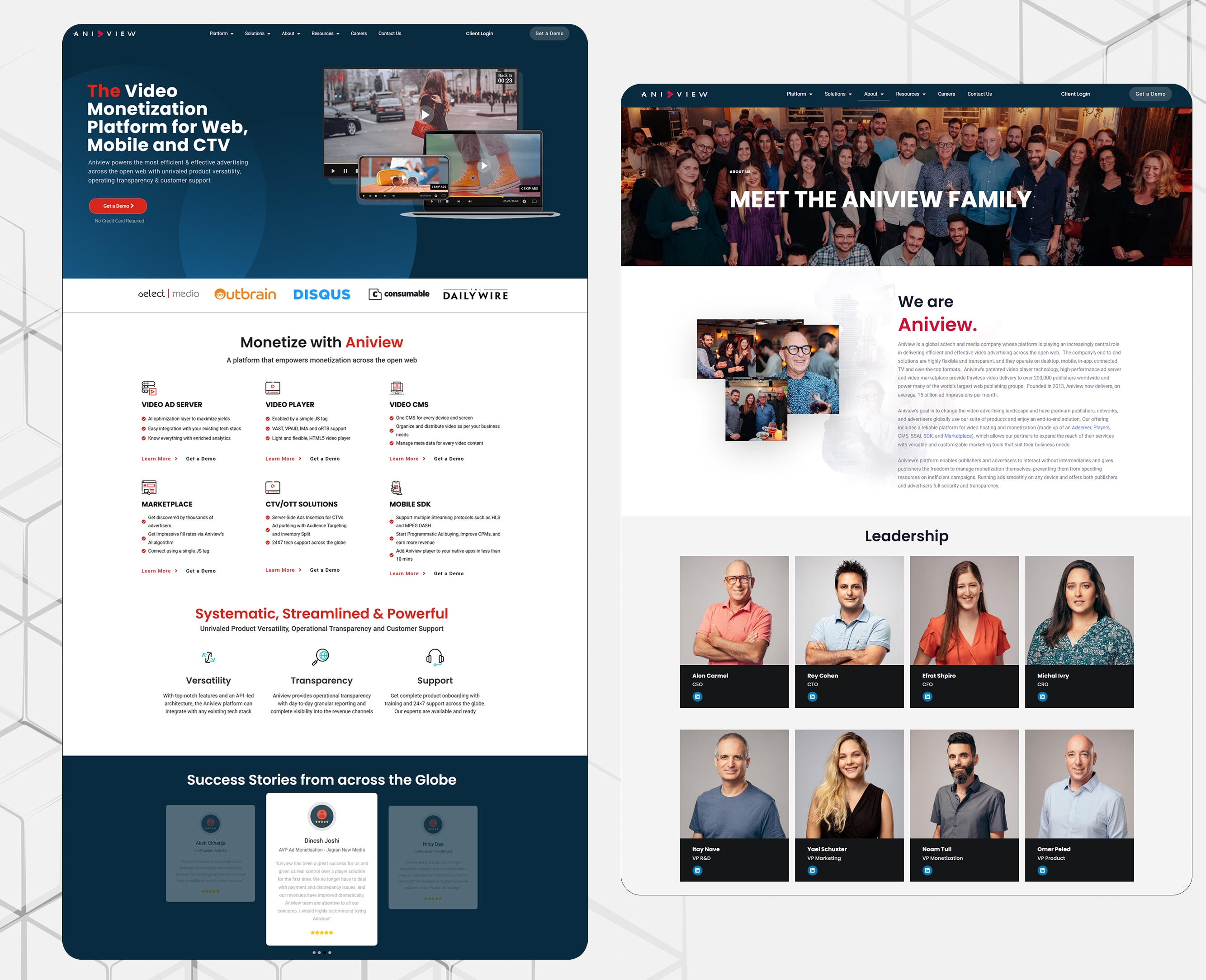 aniview.com - Website Design - WP-Dominator
